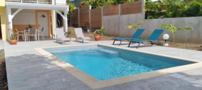 972A - Magnificent ground floor with swimming pool